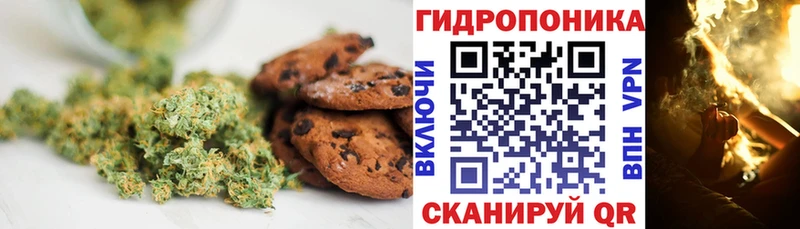 omg ссылка  Алагир  Еда ТГК марихуана  купить  сайты 