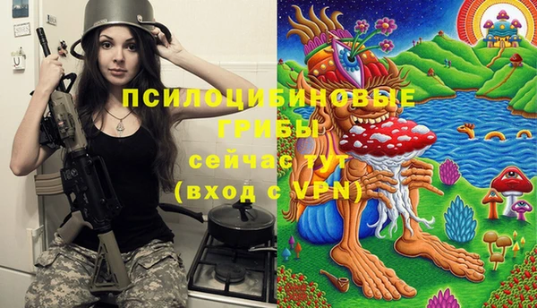 PSILOCYBIN Абаза