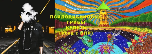 PSILOCYBIN Абаза