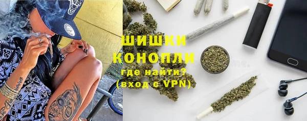 PSILOCYBIN Абаза