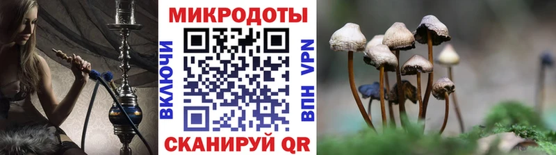Псилоцибиновые грибы Psilocybe Алагир