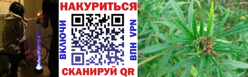 МАРИХУАНА ГИДРОПОН  продажа наркотиков  Алагир 